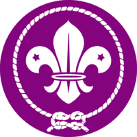 wosm-logo